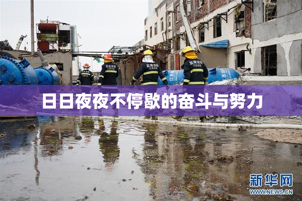 日日夜夜不停歇的奋斗与努力