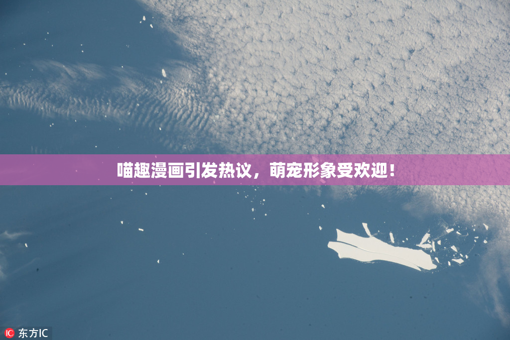 喵趣漫画引发热议，萌宠形象受欢迎！