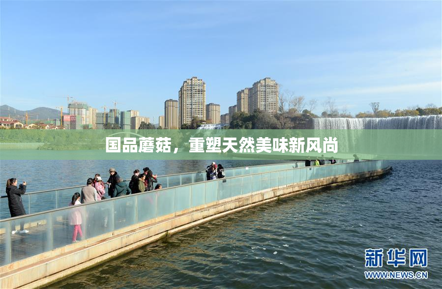 国品蘑菇，重塑天然美味新风尚