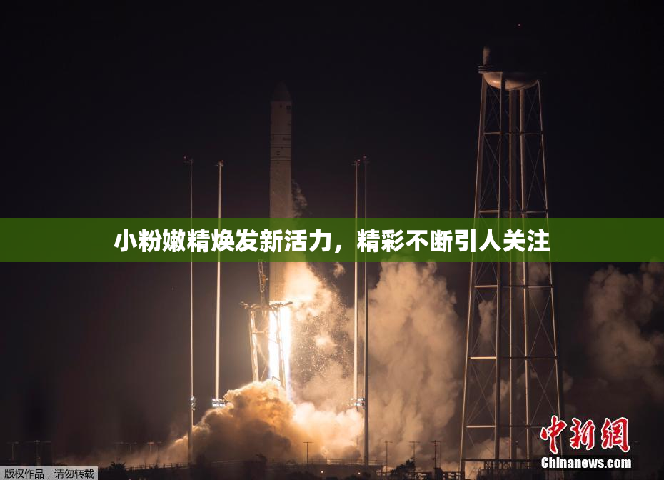 小粉嫩精焕发新活力，精彩不断引人关注