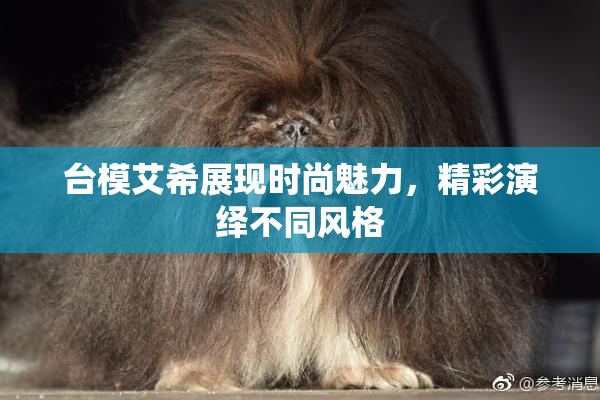 台模艾希展现时尚魅力，精彩演绎不同风格