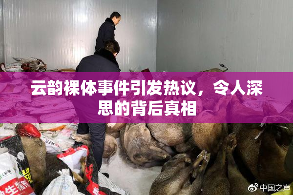 云韵裸体事件引发热议，令人深思的背后真相