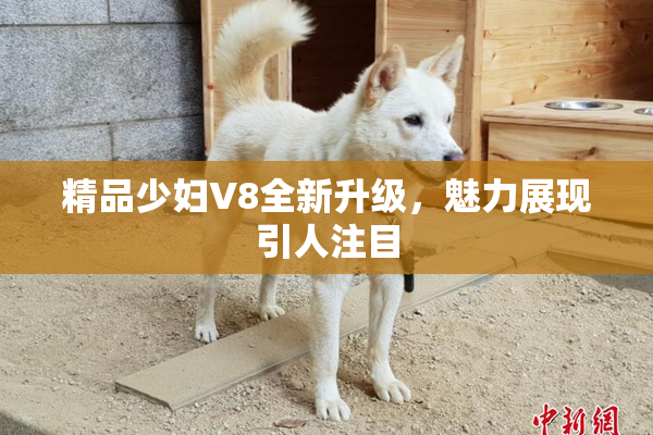 精品少妇V8全新升级，魅力展现引人注目