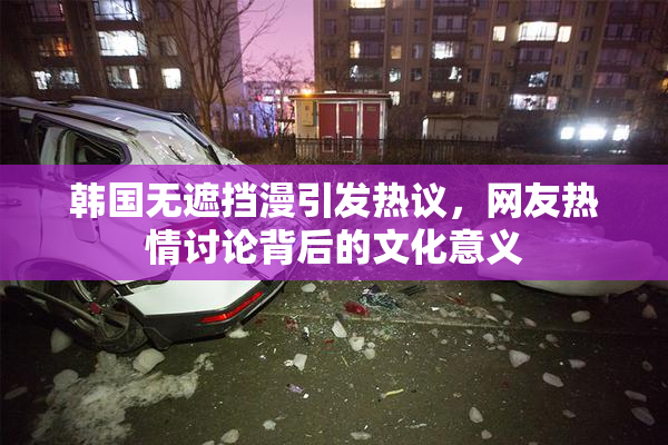 韩国无遮挡漫引发热议，网友热情讨论背后的文化意义