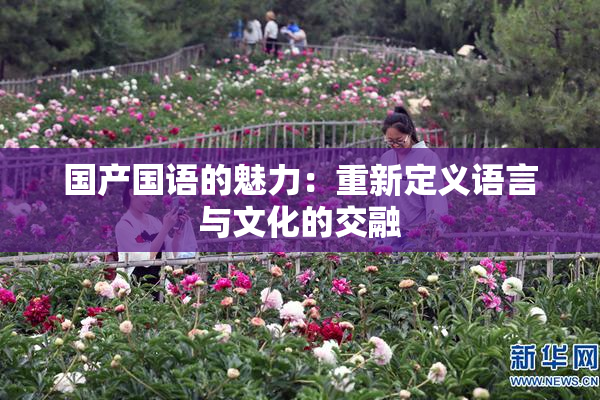 国产国语的魅力：重新定义语言与文化的交融