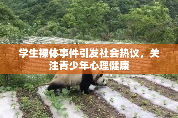 学生裸体事件引发社会热议，关注青少年心理健康