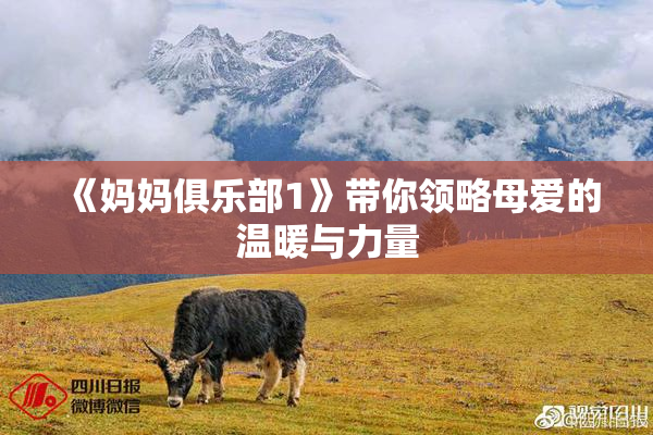 《妈妈俱乐部1》带你领略母爱的温暖与力量