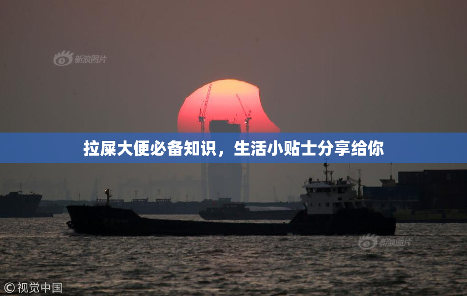 拉屎大便必备知识，生活小贴士分享给你