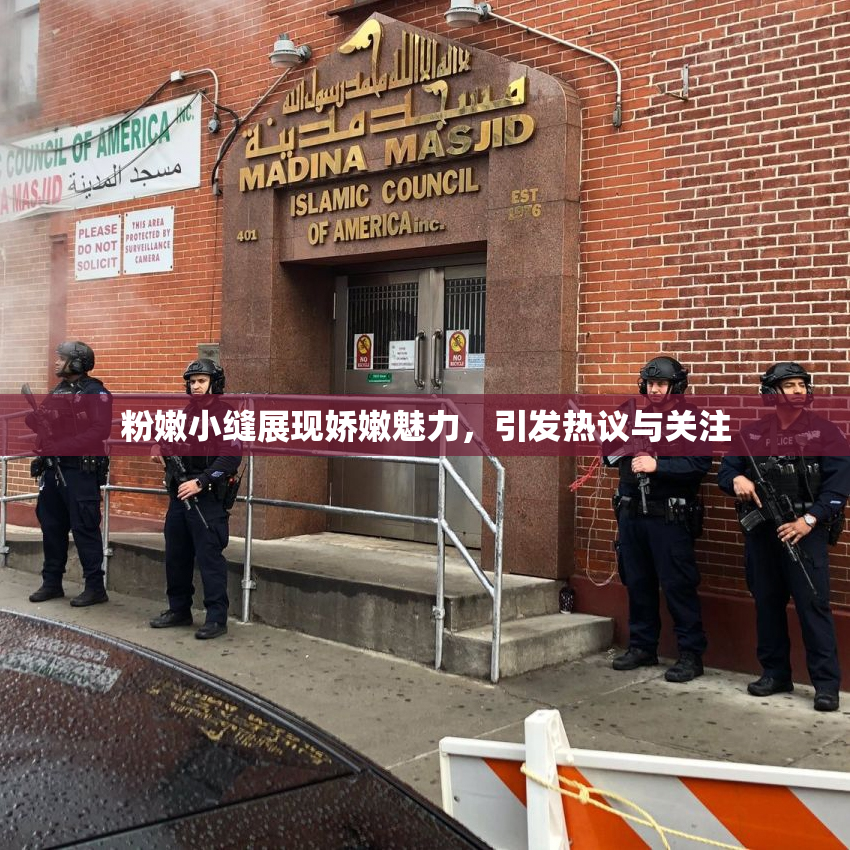 粉嫩小缝展现娇嫩魅力，引发热议与关注
