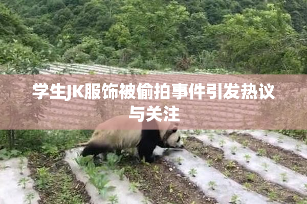 学生JK服饰被偷拍事件引发热议与关注