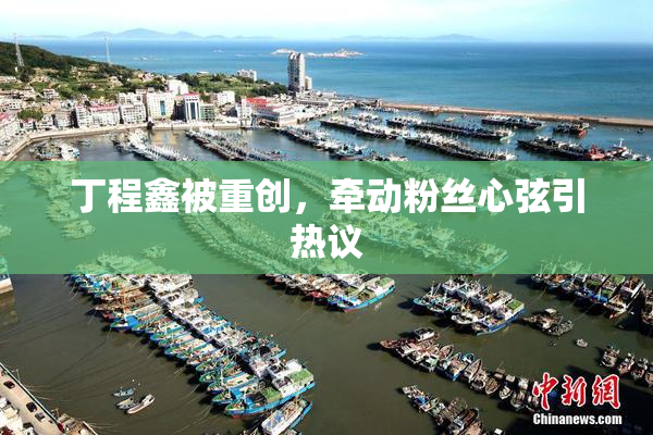 丁程鑫被重创，牵动粉丝心弦引热议