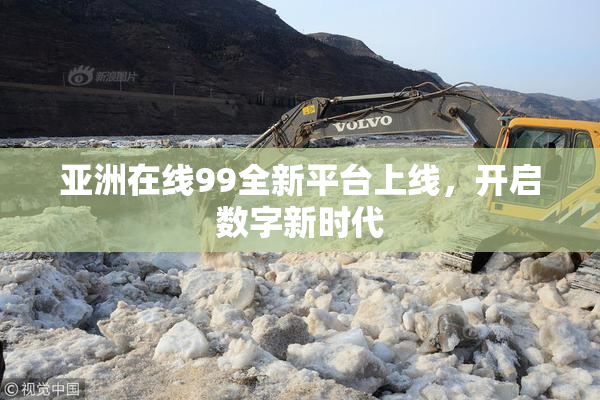 亚洲在线99全新平台上线，开启数字新时代