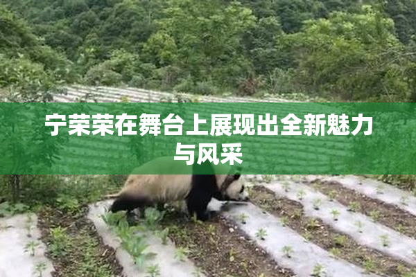 宁荣荣在舞台上展现出全新魅力与风采