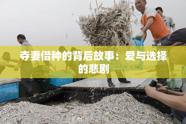 夺妻借种的背后故事：爱与选择的悲剧