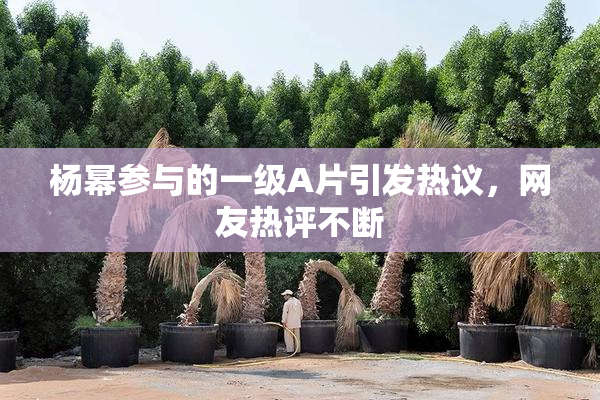 杨幂参与的一级A片引发热议，网友热评不断