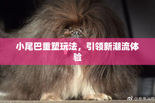 小尾巴重塑玩法，引领新潮流体验
