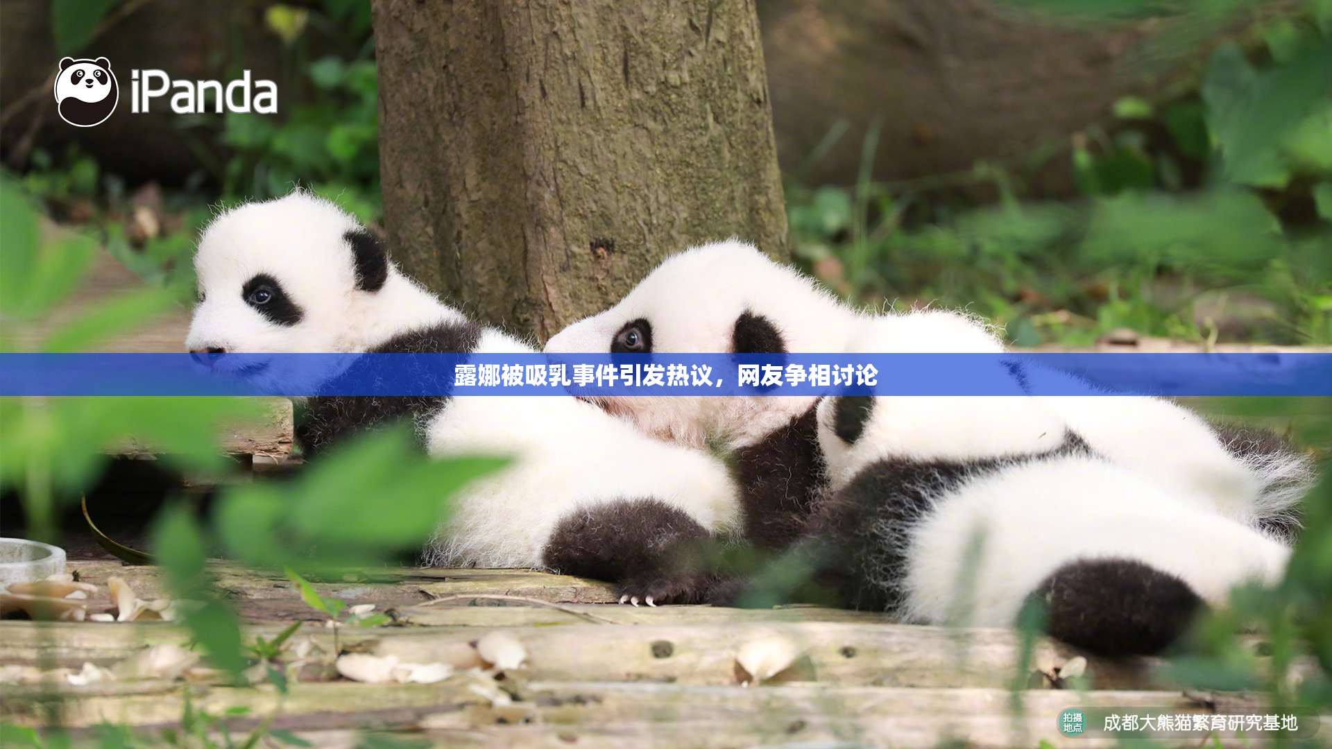 露娜被吸乳事件引发热议，网友争相讨论