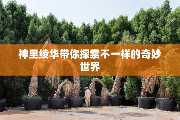 神里绫华带你探索不一样的奇妙世界