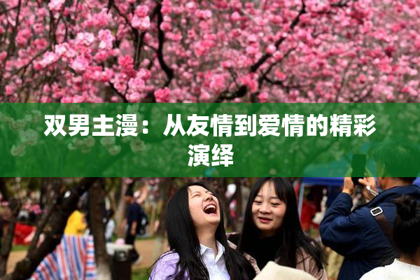 双男主漫：从友情到爱情的精彩演绎