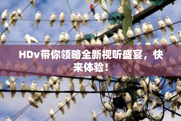 HDv带你领略全新视听盛宴，快来体验！