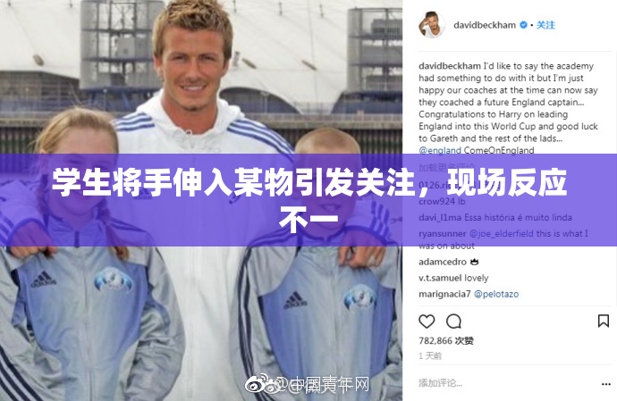 学生将手伸入某物引发关注，现场反应不一