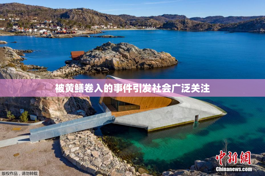 被黄鳝卷入的事件引发社会广泛关注