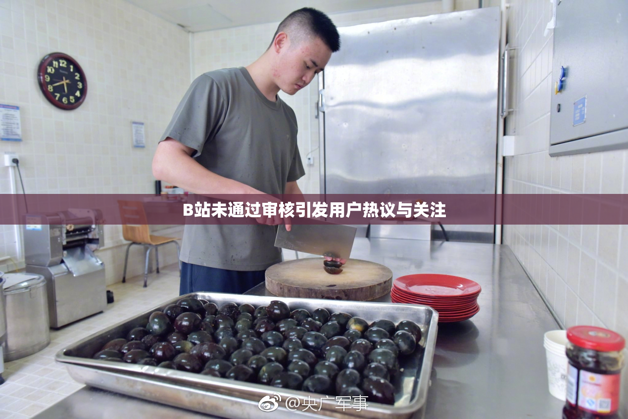 B站未通过审核引发用户热议与关注