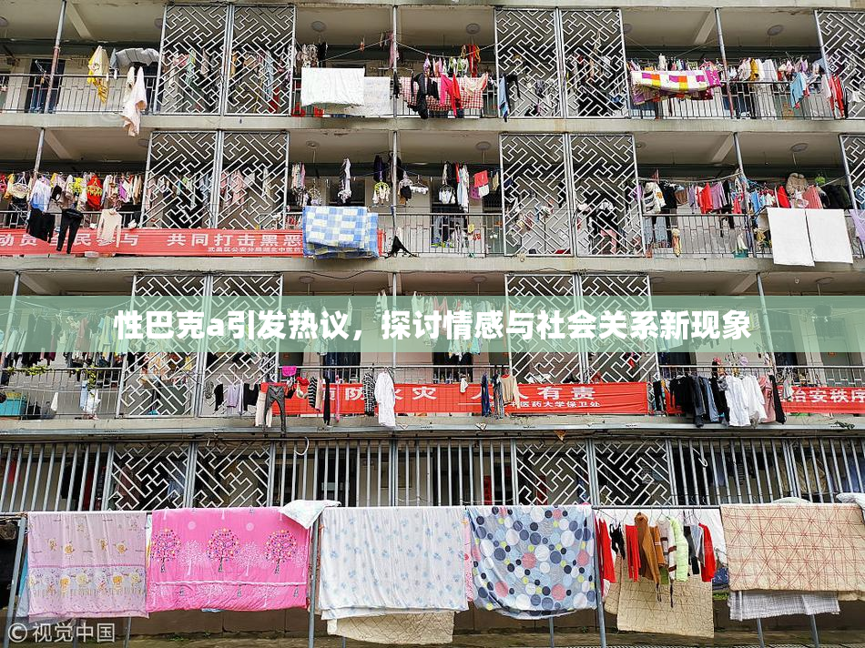 性巴克a引发热议，探讨情感与社会关系新现象