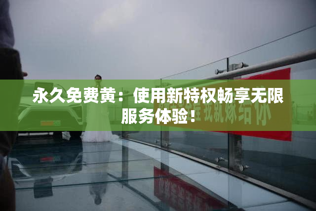 永久免费黄：使用新特权畅享无限服务体验！