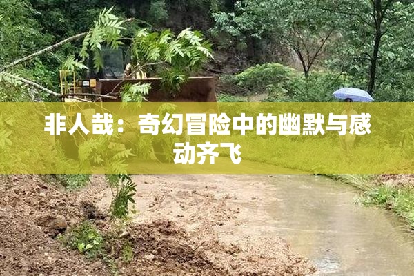 非人哉：奇幻冒险中的幽默与感动齐飞