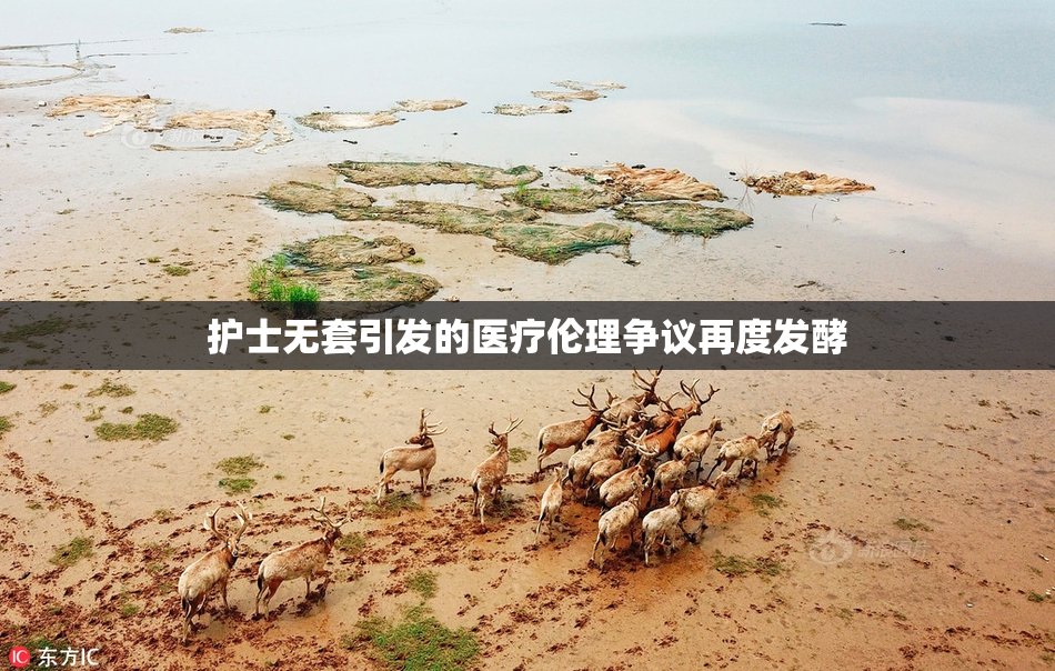 护士无套引发的医疗伦理争议再度发酵
