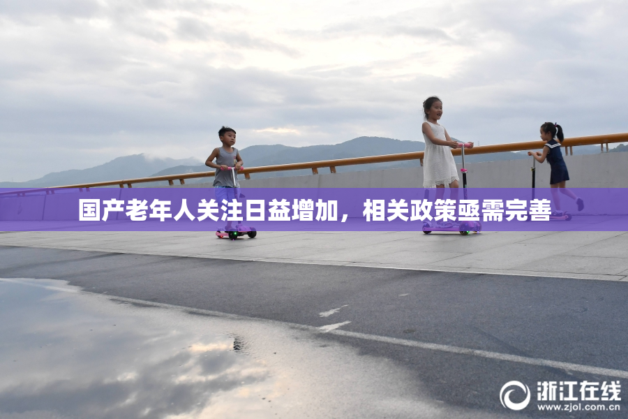 国产老年人关注日益增加，相关政策亟需完善