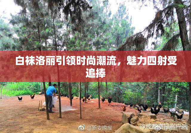 白袜洛丽引领时尚潮流，魅力四射受追捧