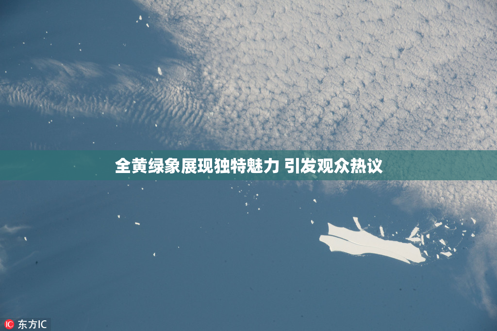 全黄绿象展现独特魅力 引发观众热议