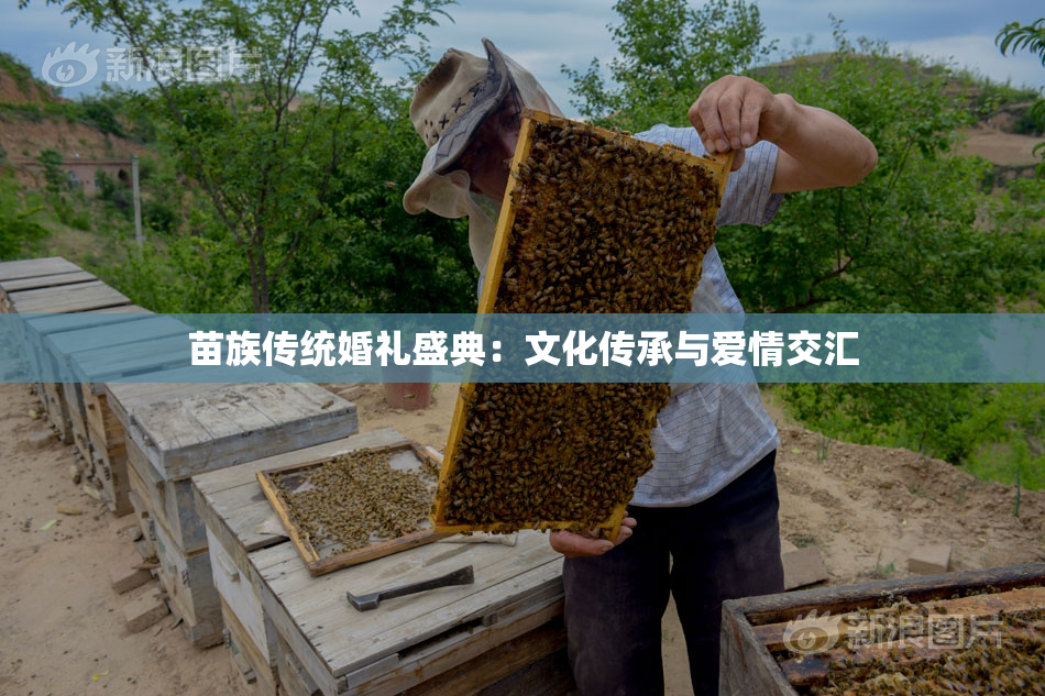 苗族传统婚礼盛典：文化传承与爱情交汇
