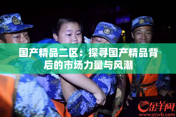 国产精品二区：探寻国产精品背后的市场力量与风潮