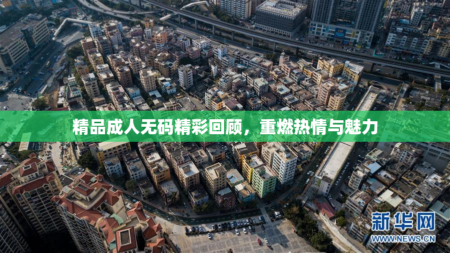 精品成人无码精彩回顾，重燃热情与魅力
