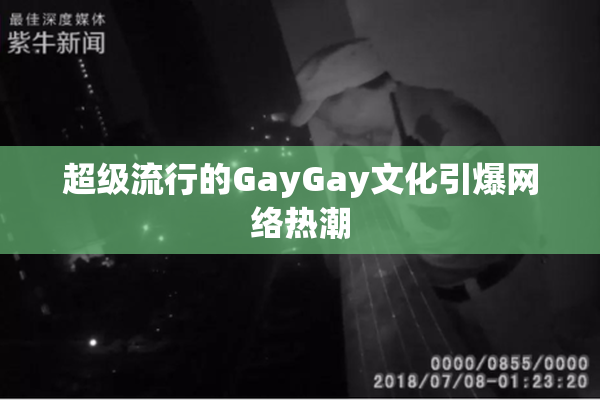 超级流行的GayGay文化引爆网络热潮