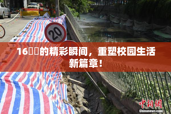 16妺妺的精彩瞬间，重塑校园生活新篇章！