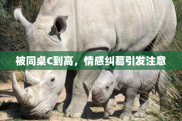 被同桌C到高，情感纠葛引发注意
