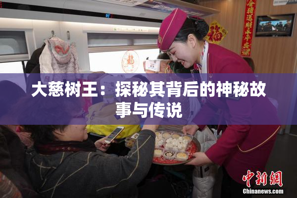 大慈树王：探秘其背后的神秘故事与传说