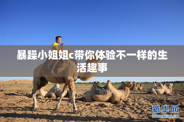 暴躁小姐姐c带你体验不一样的生活趣事