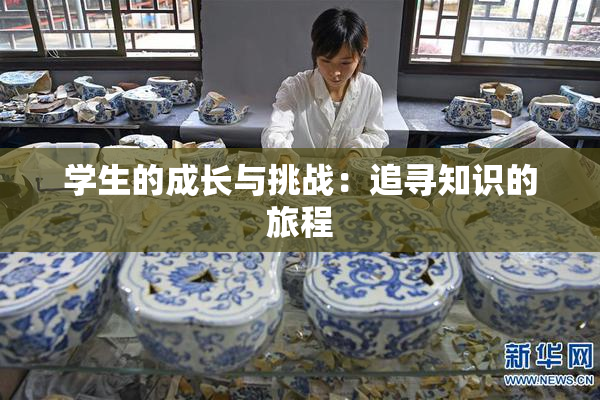 学生的成长与挑战：追寻知识的旅程