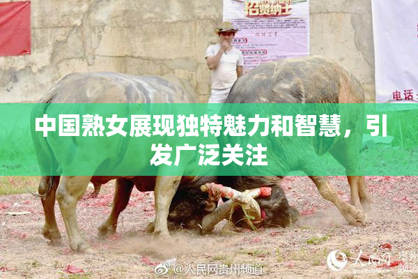 中国熟女展现独特魅力和智慧，引发广泛关注