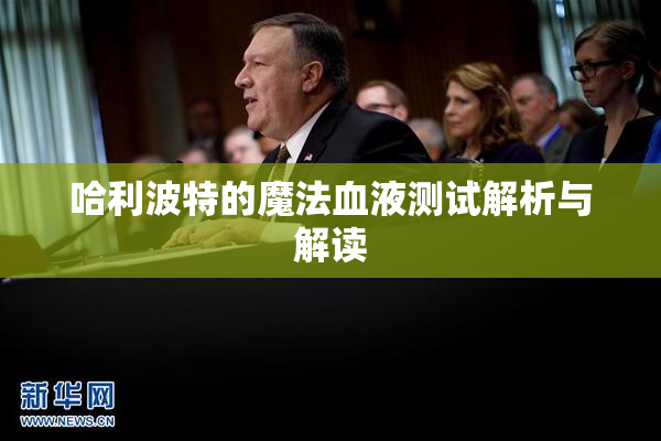 哈利波特的魔法血液测试解析与解读