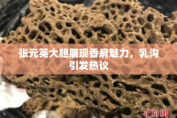 张元英大胆展现香肩魅力，乳沟引发热议