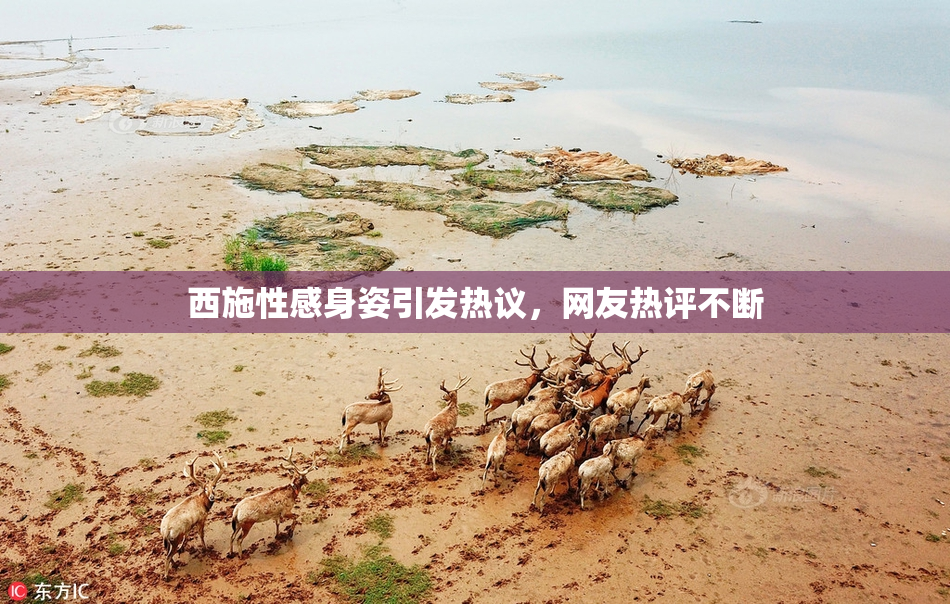 西施性感身姿引发热议，网友热评不断