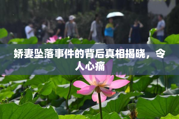 娇妻坠落事件的背后真相揭晓，令人心痛