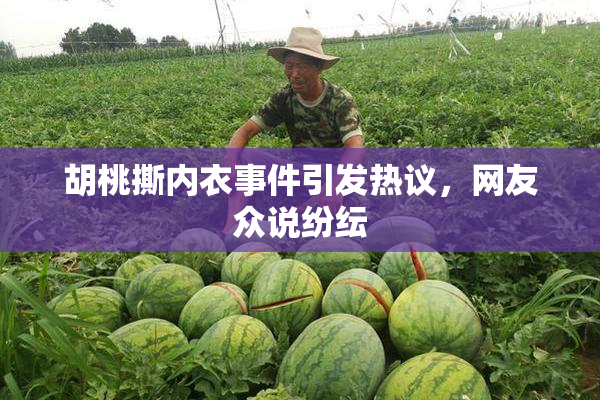 胡桃撕内衣事件引发热议，网友众说纷纭