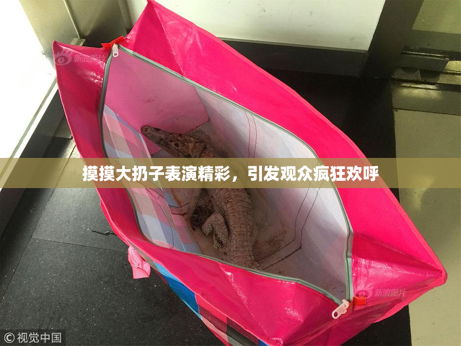 摸摸大扔子表演精彩，引发观众疯狂欢呼